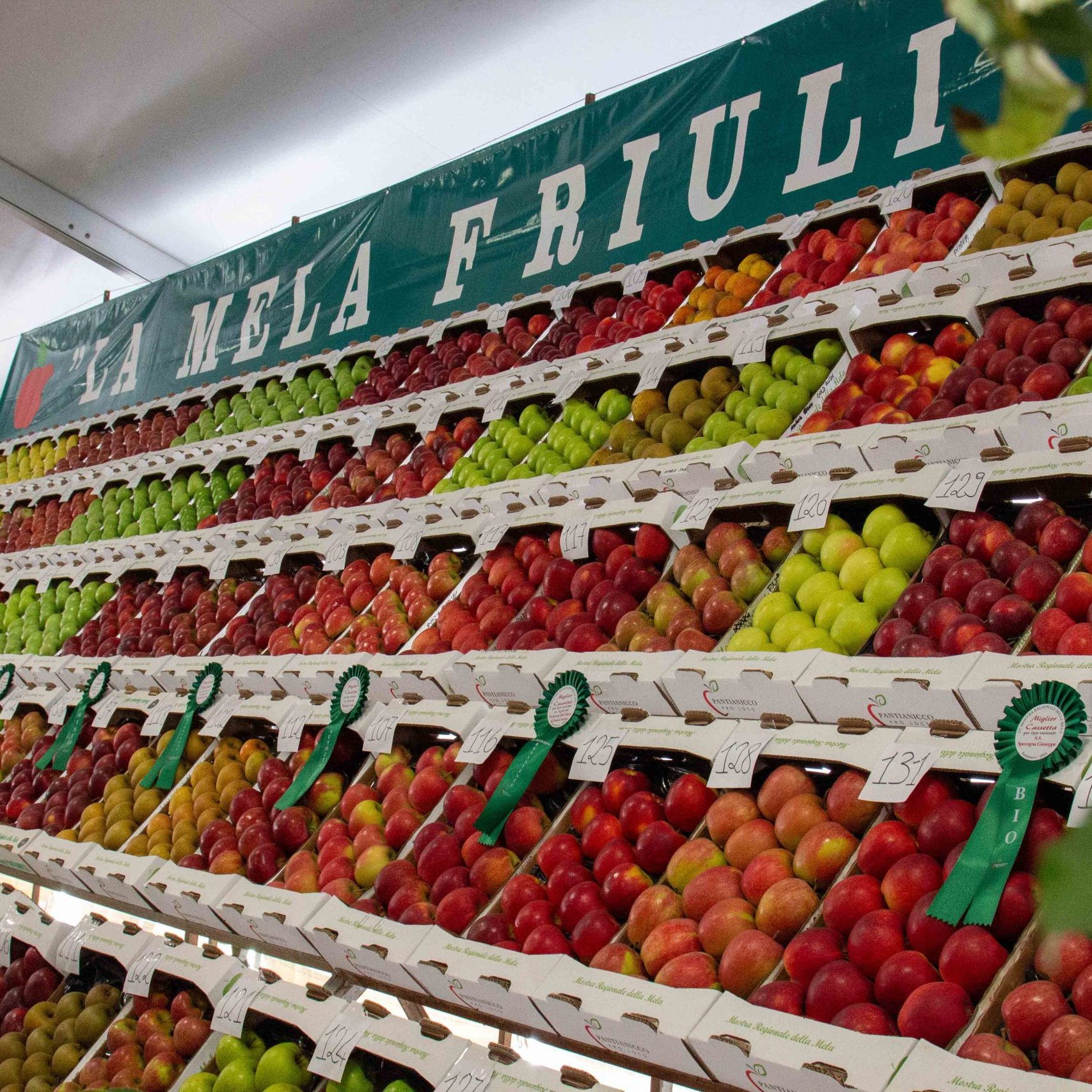Mostra Mela