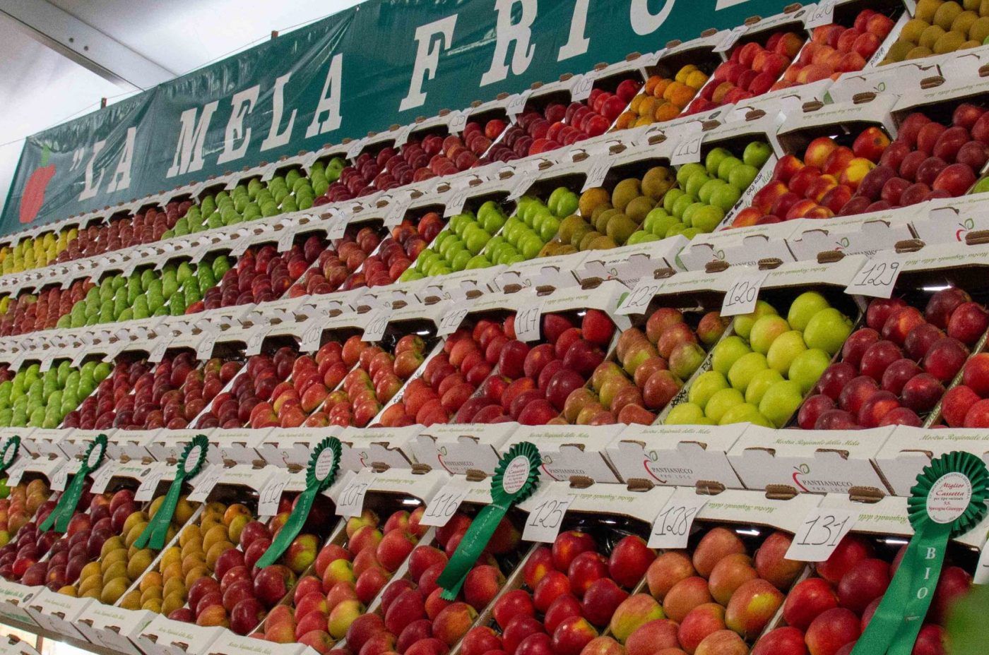 Mostra Regionale della Mela 2025